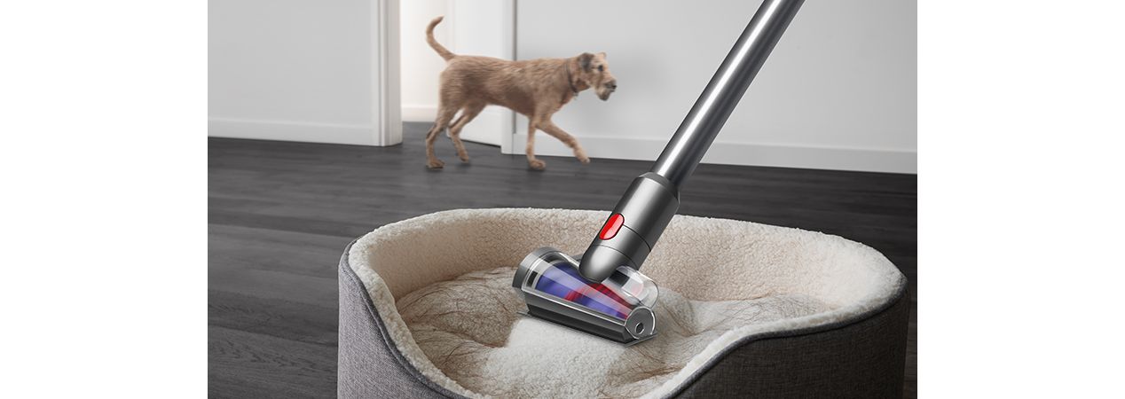 أداة دايسون لفك الشعر تمتص الشعر من سرير الحيوانات الأليفة